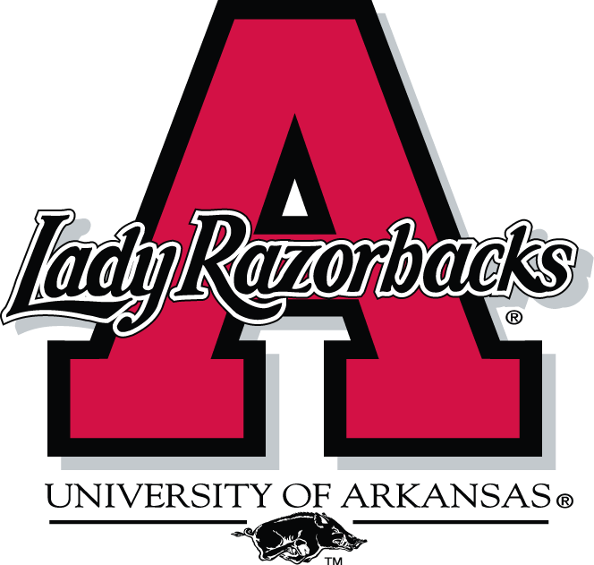 Arkansas Razorbacks 1998-2000 Alternate Logo diy fabric transfer